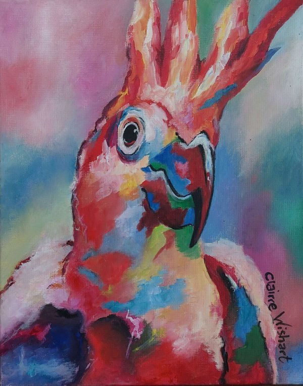 Budgie Boo SOLD