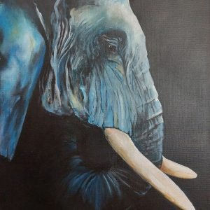 Elegant Ellie 1
