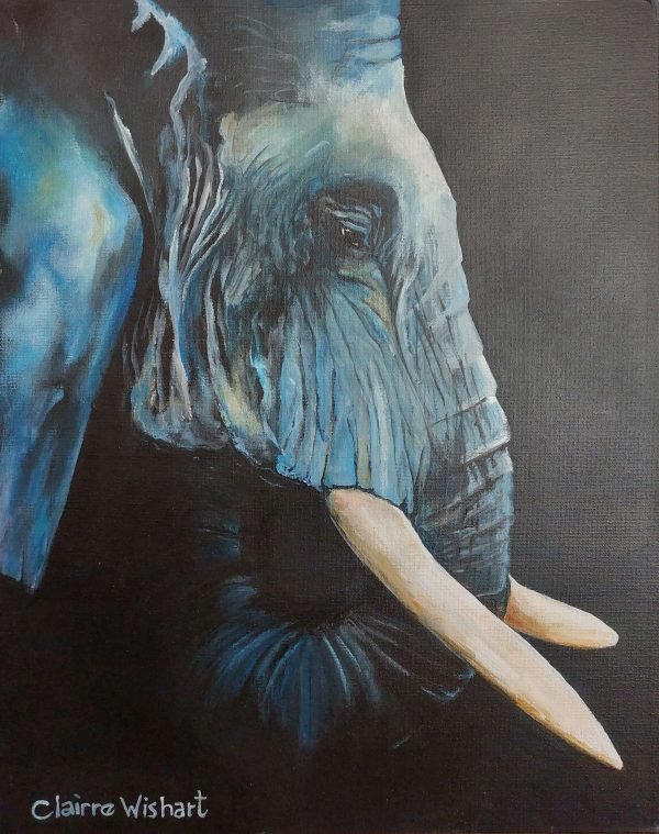 Elegant Ellie 1