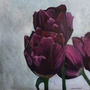 Tulip Supreme