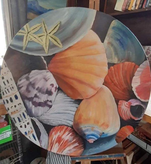 Shell Harbour