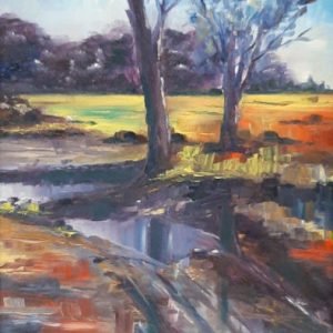SOLD Shallow waters